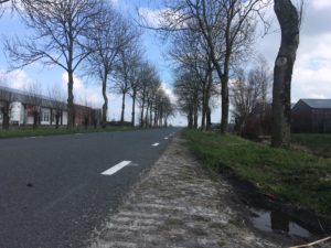Middelstum
